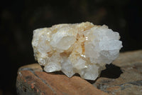 Natural Mixed Spirit Quartz Clusters  x 6 From Boekenhouthoek, South Africa - Toprock Gemstones and Minerals