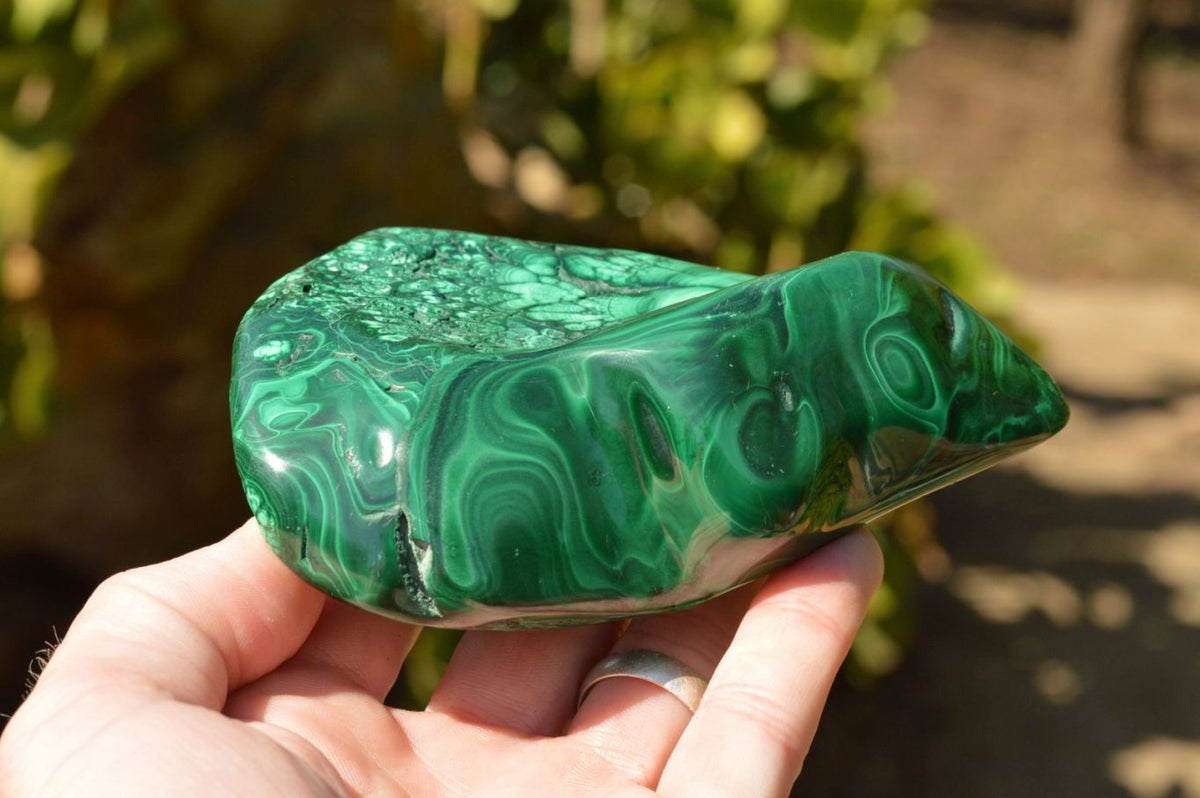 Polished Malachite Free Forms With Gorgeous Flower Patterns x 4 From Congo - TopRock