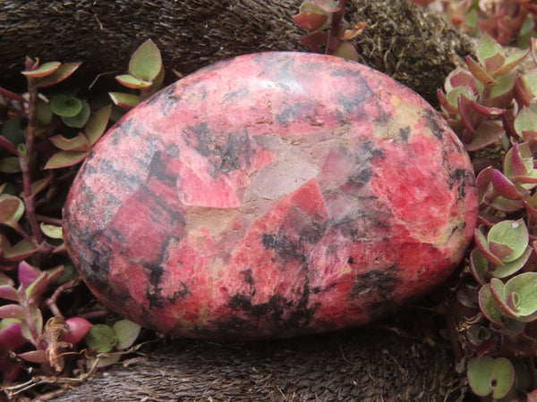 Polished Rhodonite, Quartz, Chromite Free Forms x 6 From Zimbabwe - TopRock