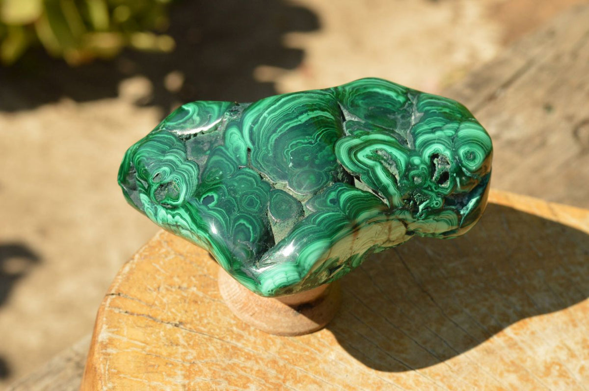 Polished Malachite Free Forms With Gorgeous Flower Patterns x 4 From Congo - TopRock