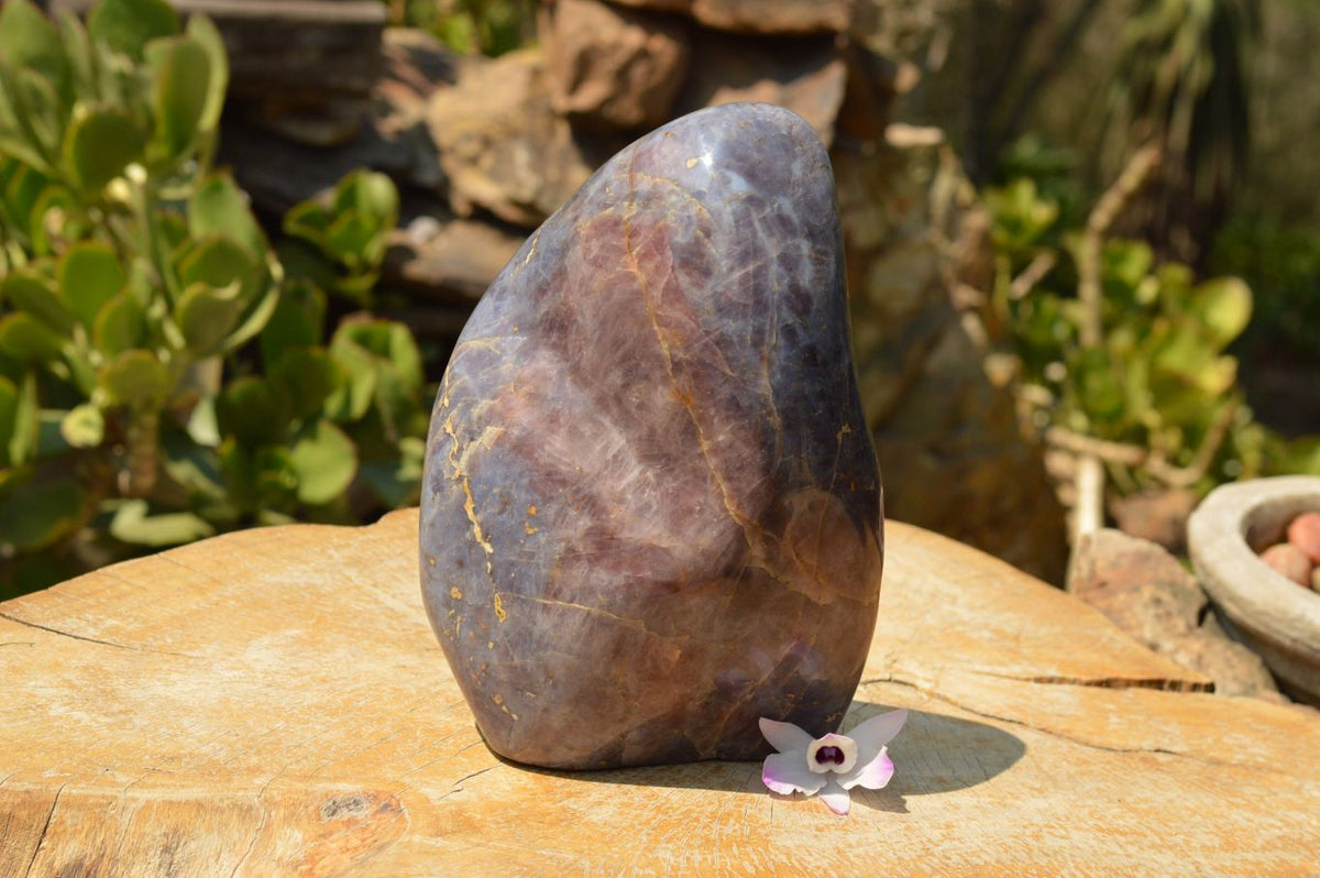 Polished NEW Large Violet "Sugi" Rose Quartz Standing Free Form x 1 From Madagascar - TopRock
