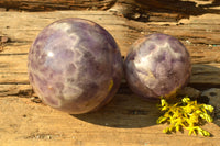 Polished  Amethyst Spheres (Nice Crystalline Vug On One) x 2 From Madagascar - TopRock