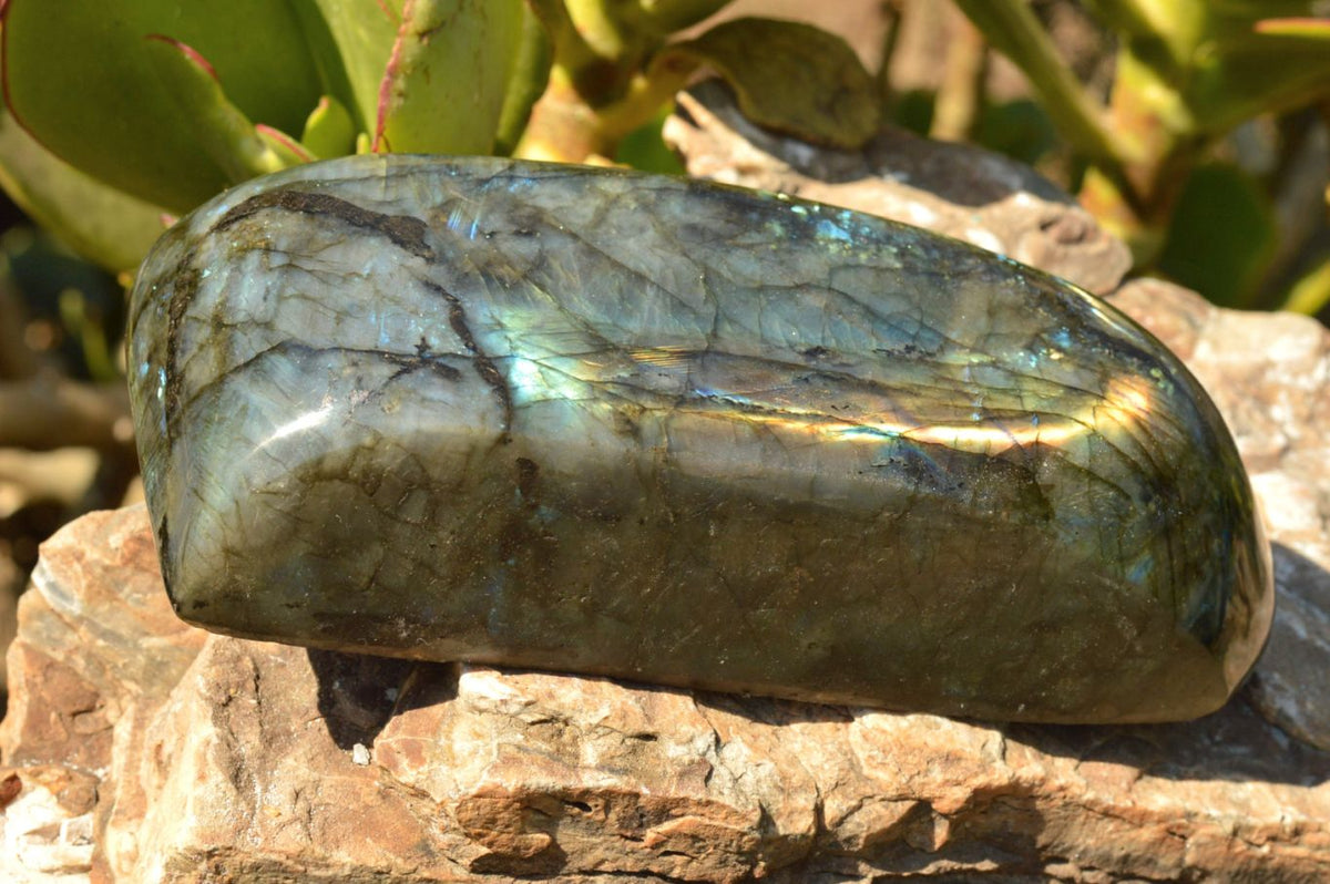 Polished Labradorite Standing Free Forms With Intense Blue & Gold Flash x 2 From Tulear, Madagascar - TopRock