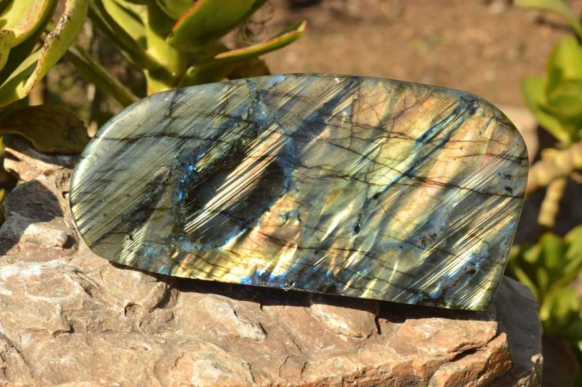 Polished Labradorite Standing Free Forms With Intense Blue & Gold Flash x 2 From Tulear, Madagascar - TopRock