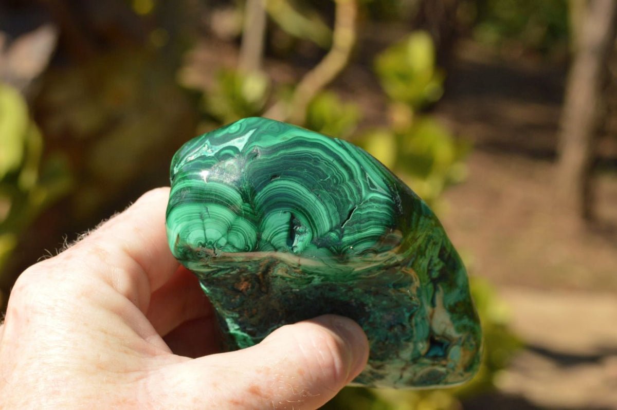 Polished Malachite Free Forms With Gorgeous Flower Patterns x 4 From Congo - TopRock