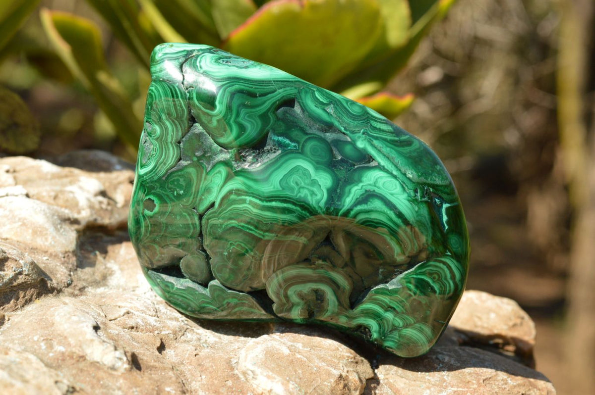 Polished Malachite Free Forms With Gorgeous Flower Patterns x 4 From Congo - TopRock