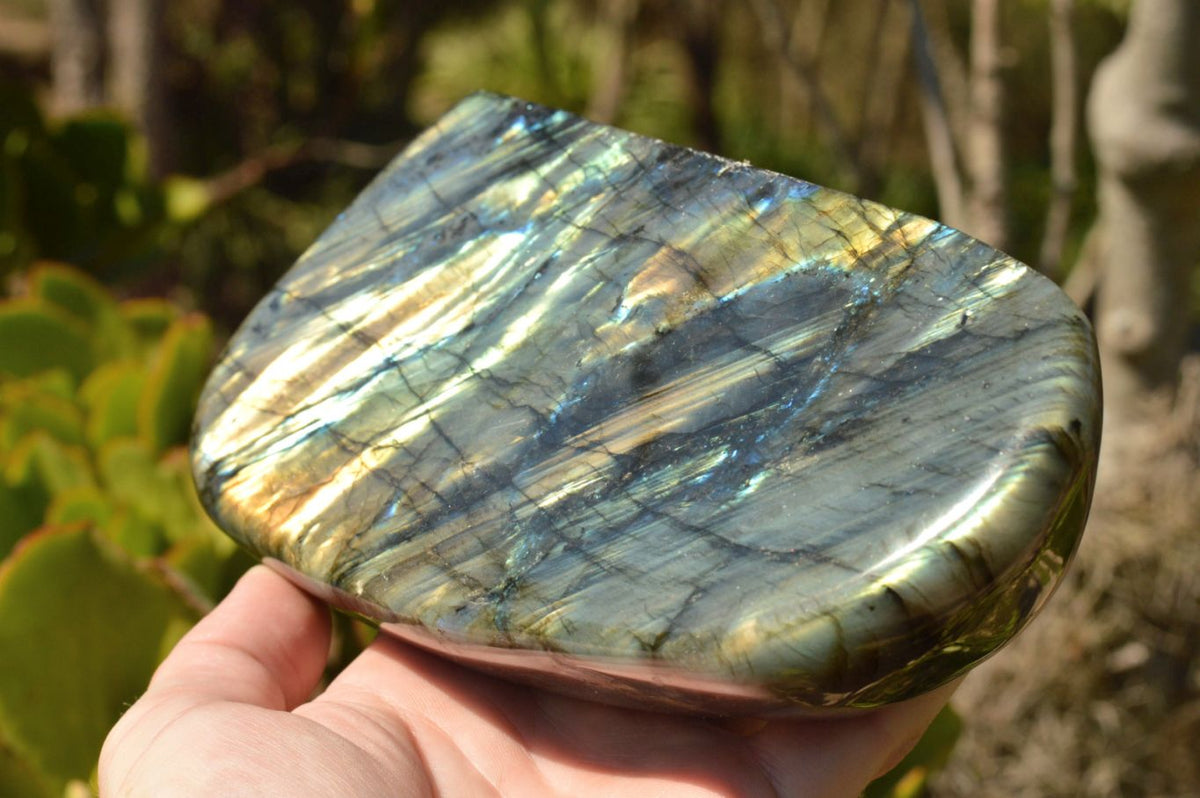 Polished Labradorite Standing Free Forms With Intense Blue & Gold Flash x 2 From Tulear, Madagascar - TopRock