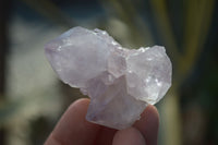 Natural Spirit Amethyst Quartz Clusters  x 12 From Boekenhouthoek, South Africa - Toprock Gemstones and Minerals