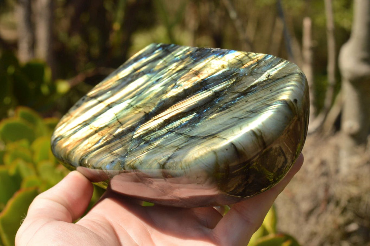 Polished Labradorite Standing Free Forms With Intense Blue & Gold Flash x 2 From Tulear, Madagascar - TopRock