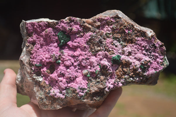 Natural Extra Large Pink Salrose With Silky Malachite Specimen x 1 From Kakanda, Congo - TopRock