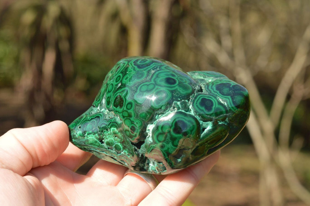 Polished Malachite Free Forms With Gorgeous Flower Patterns x 4 From Congo - TopRock