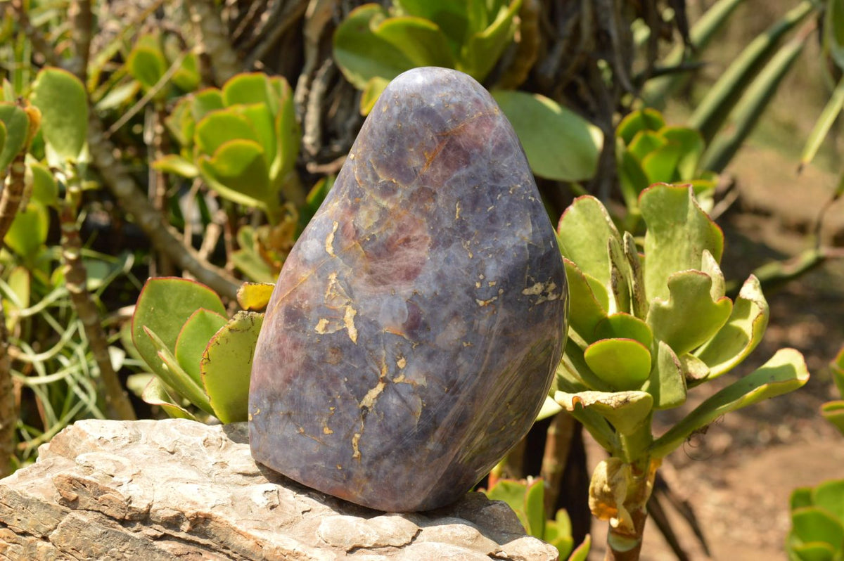 Polished NEW Large Violet "Sugi" Rose Quartz Standing Free Form x 1 From Madagascar - TopRock