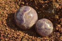 Polished  Amethyst Spheres (Nice Crystalline Vug On One) x 2 From Madagascar - TopRock