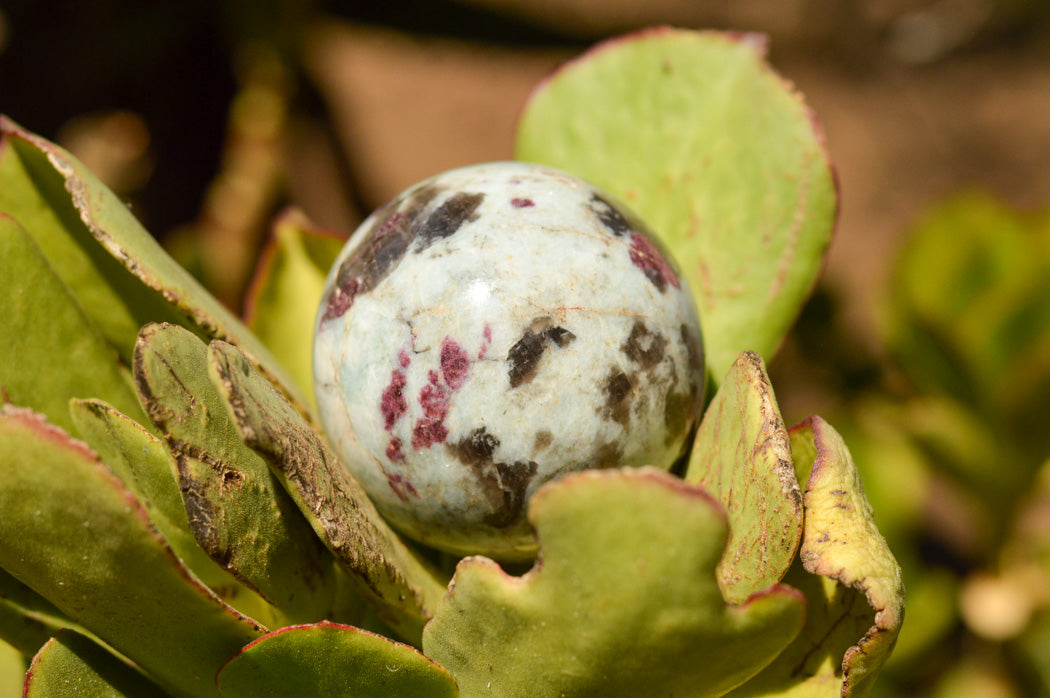 Polished Pink Tourmaline Rubellite Spheres x 3 From Madagascar - TopRock