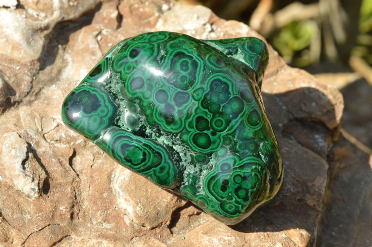 Polished Malachite Free Forms With Gorgeous Flower Patterns x 4 From Congo - TopRock