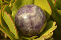 Polished  Amethyst Spheres (Nice Crystalline Vug On One) x 2 From Madagascar - TopRock