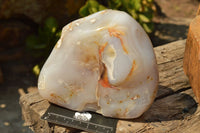 Polished Banded Agate Geode Standing Free Form  x 1 From Madagascar - TopRock