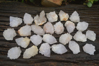 Natural White Spirit Cactus Flower Quartz Crystals x 70 From Boekenhouthoek, South Africa - Toprock Gemstones and Minerals