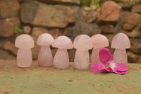Polished Gemmy Pink Rose Quartz Mushrooms  x 6 From Madagascar - TopRock