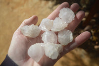 Natural White Spirit Cactus Flower Quartz Crystals x 70 From Boekenhouthoek, South Africa - Toprock Gemstones and Minerals