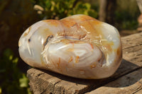 Polished Banded Agate Geode Standing Free Form  x 1 From Madagascar - TopRock