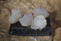 Natural White Spirit Cactus Flower Quartz Crystals x 70 From Boekenhouthoek, South Africa - Toprock Gemstones and Minerals