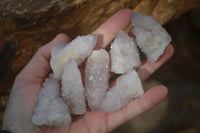 Natural Pale Lilac Spirit Quartz Crystals x 35 From Boekenhouthoek, South Africa - Toprock Gemstones and Minerals