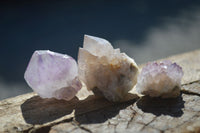 Natural Small Mixed Spirit Quartz Crystals  x 70 From Boekenhouthoek, South Africa - Toprock Gemstones and Minerals