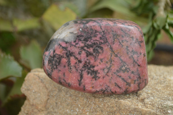 Polished Rare Red Rhodonite Free Forms  x 6 From Zimbabwe - TopRock
