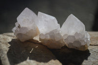 Natural White Spirit Cactus Flower Quartz Crystals x 70 From Boekenhouthoek, South Africa - Toprock Gemstones and Minerals