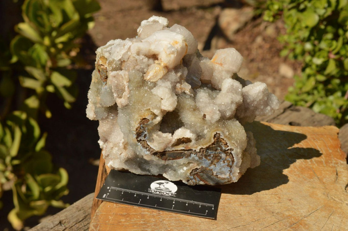 Natural Dog Tooth Calcite On Drusy Quartz Cluster x 1 From Alberts Mountain, Lesotho - TopRock