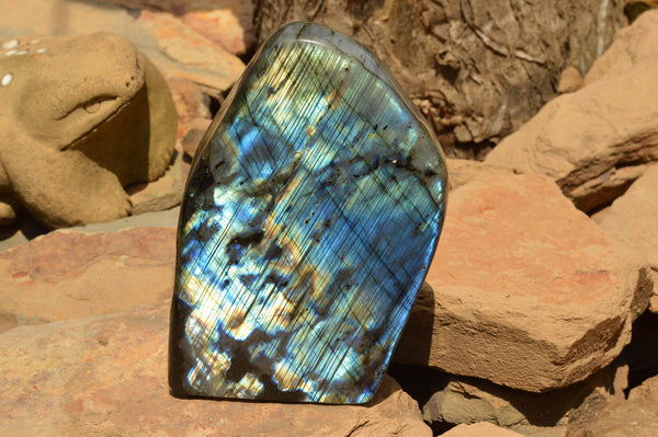 Polished Labradorite Standing Free Form With A Full Face Flash x 1 From Tulear, Madagascar - TopRock