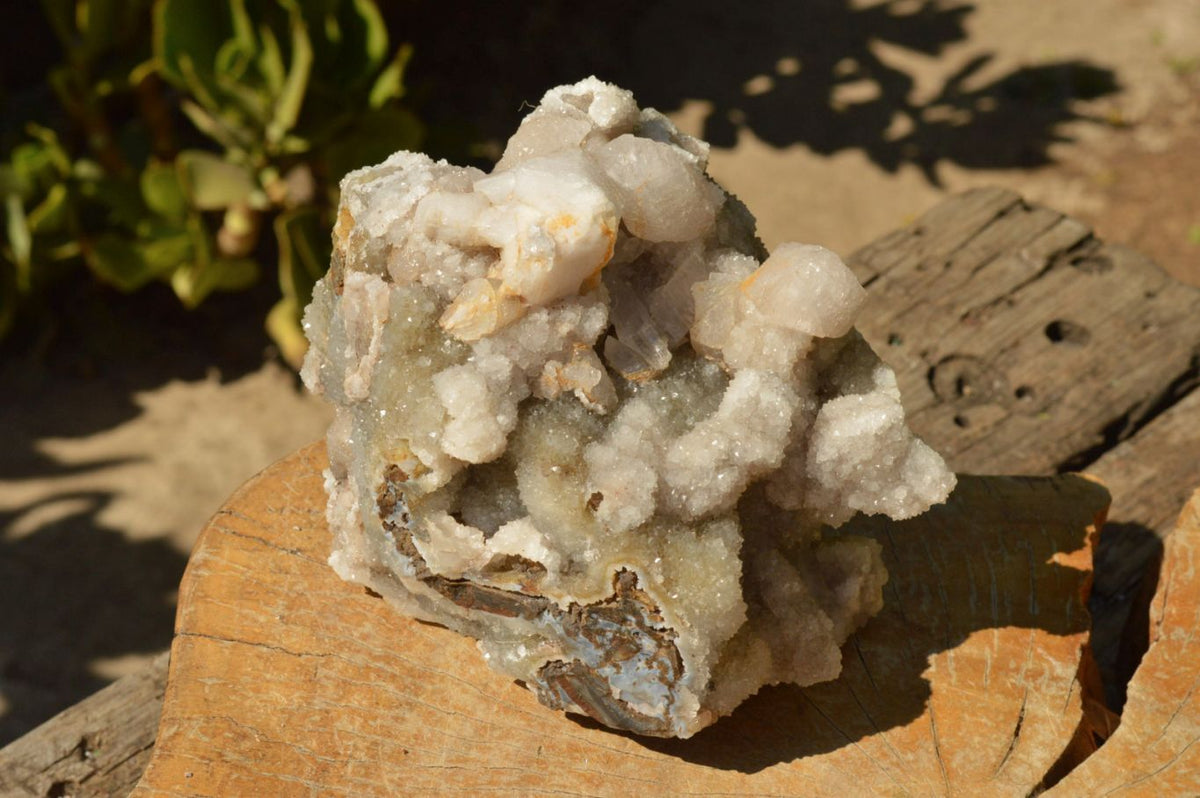 Natural Dog Tooth Calcite On Drusy Quartz Cluster x 1 From Alberts Mountain, Lesotho - TopRock