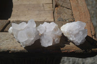 Natural White Cactus Flower Spirit Quartz Specimens  x 12 From Boekenhouthoek, South Africa - Toprock Gemstones and Minerals