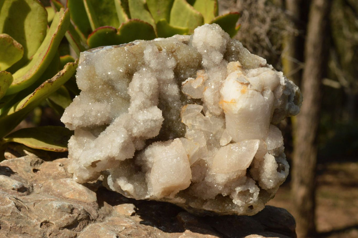 Natural Dog Tooth Calcite On Drusy Quartz Cluster x 1 From Alberts Mountain, Lesotho - TopRock