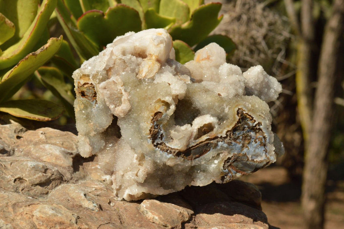 Natural Dog Tooth Calcite On Drusy Quartz Cluster x 1 From Alberts Mountain, Lesotho - TopRock
