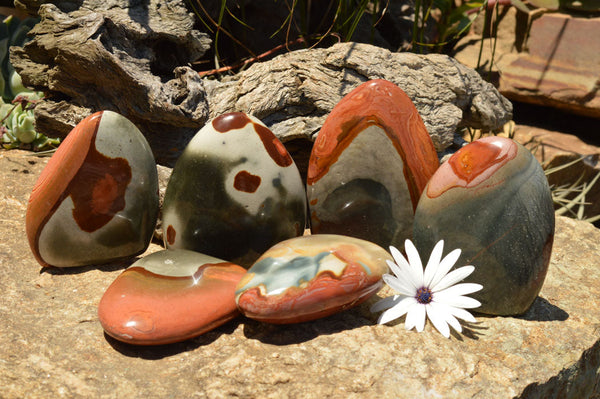 Polished Polychrome / Picasso Jasper Standing Free Forms (One With Dragon Scale Patterns) x 6 From Madagascar - TopRock