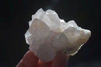 Natural White Cactus Flower Spirit Quartz Specimens  x 12 From Boekenhouthoek, South Africa - Toprock Gemstones and Minerals