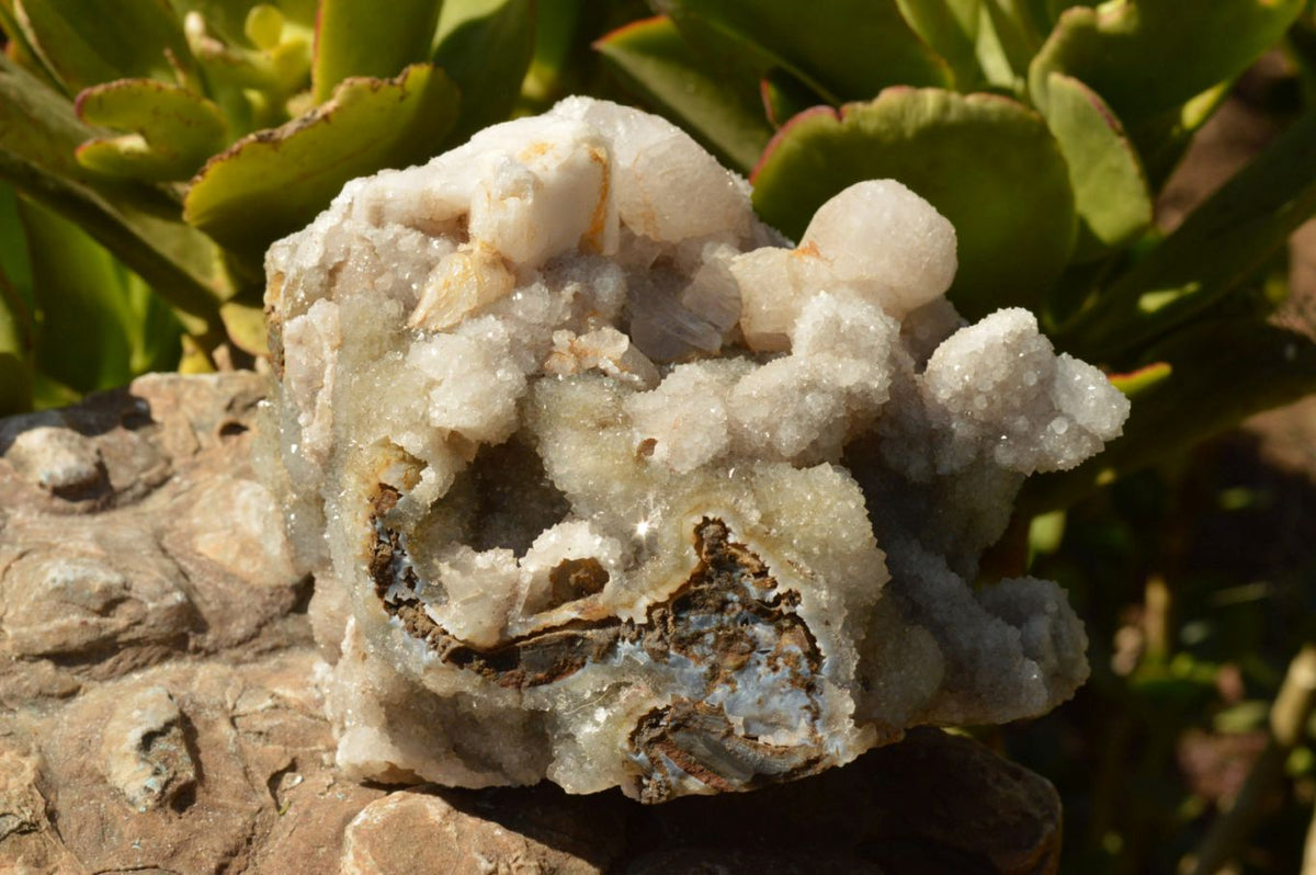 Natural Dog Tooth Calcite On Drusy Quartz Cluster x 1 From Alberts Mountain, Lesotho - TopRock