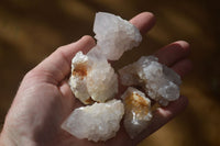 Natural White Spirit Quartz Crystals x 24 From Boekenhouthoek, South Africa - Toprock Gemstones and Minerals