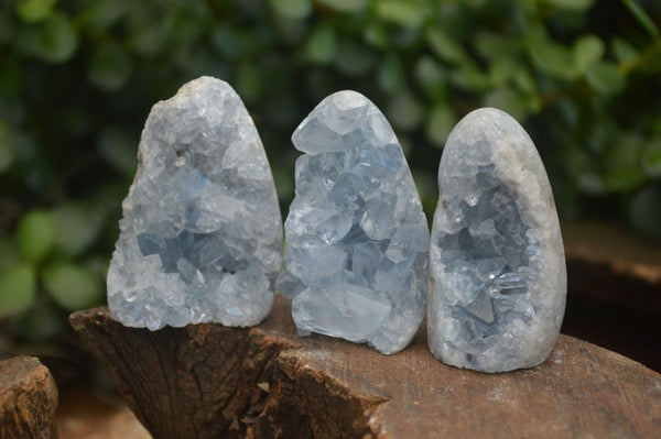 Polished Blue Celestite Standing Free Forms  x 6 From Sakoany, Madagascar