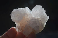 Natural White Cactus Flower Spirit Quartz Specimens  x 12 From Boekenhouthoek, South Africa - Toprock Gemstones and Minerals