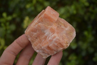 Natural New Sunset Orange Calcite Specimens  x 12 From Spitzkop, Namibia - Toprock Gemstones and Minerals