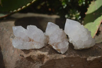 Natural White Spirit Quartz Crystals x 24 From Boekenhouthoek, South Africa - Toprock Gemstones and Minerals