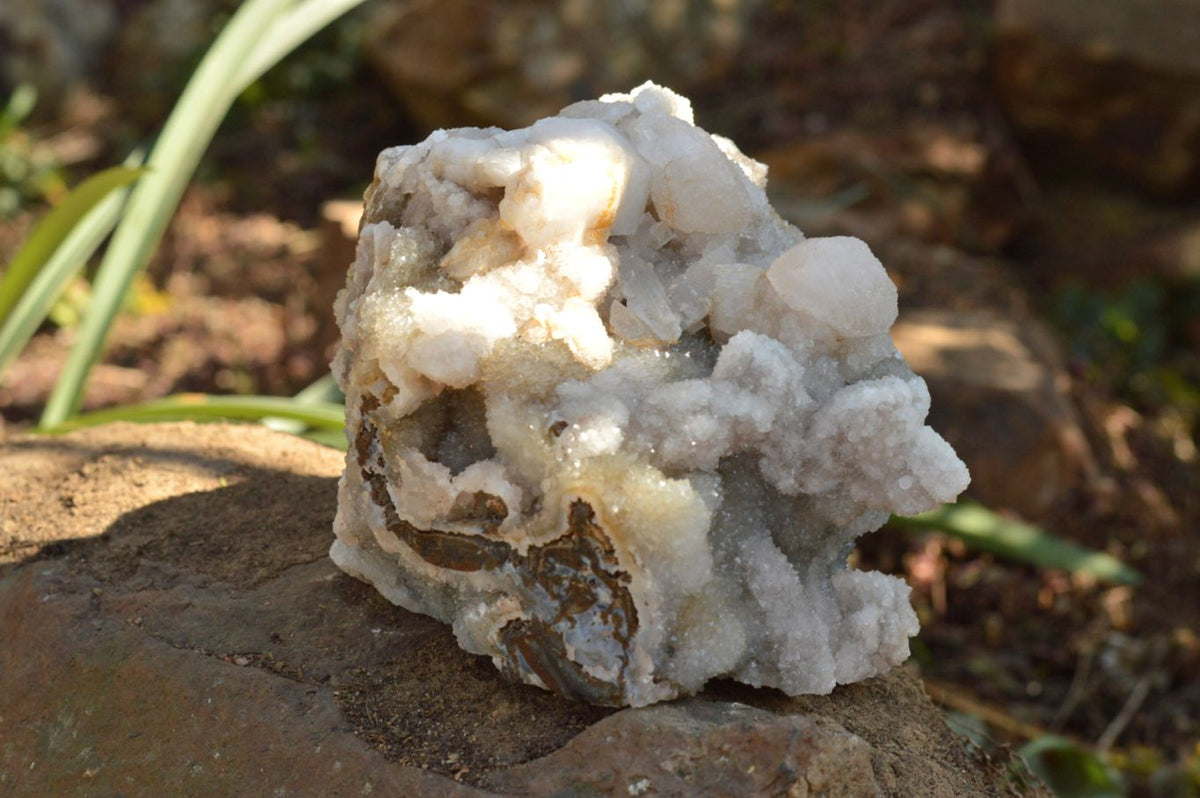 Natural Dog Tooth Calcite On Drusy Quartz Cluster x 1 From Alberts Mountain, Lesotho - TopRock