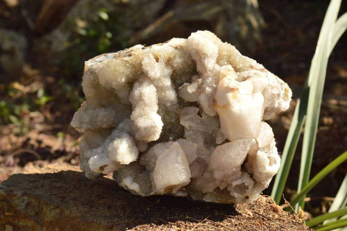 Natural Dog Tooth Calcite On Drusy Quartz Cluster x 1 From Alberts Mountain, Lesotho - TopRock