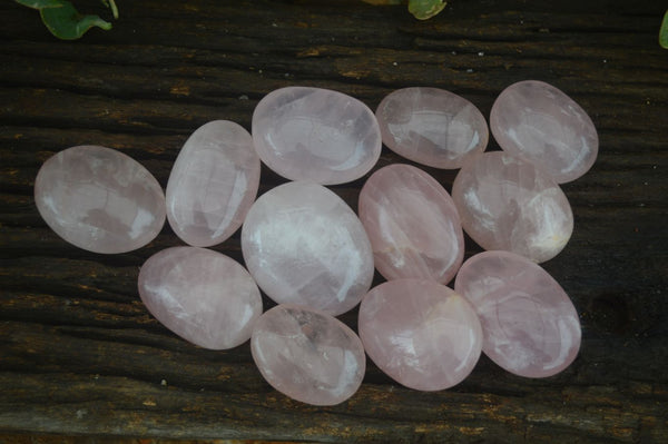 Natural Large Gemmy Pink Rose Quartz Palm Stones  x 12 From Madagascar - Toprock Gemstones and Minerals 