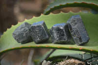 Natural Alluvial Schorl / Black Tourmaline Crystals  - Sold per 1 Kg (60 to 90 pieces) - From Zimbabwe (Copy) - Toprock Gemstones and Minerals