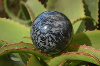 Polished Merlinite Gabbro Spheres  x 4 From Ambatondrazaka, Madagascar - Toprock Gemstones and Minerals
