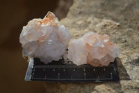 Natural White Spirit Quartz Crystals x 24 From Boekenhouthoek, South Africa - Toprock Gemstones and Minerals